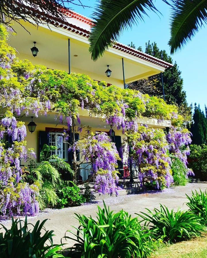 Hotel Quinta Do Cabouco à Ribeira Brava Extérieur photo